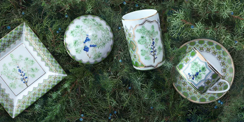 Можжевельник ароматный