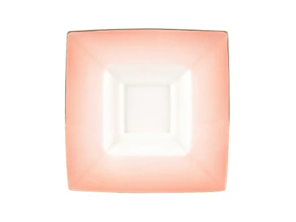 Чашка с блюдцем чайная 250 мл форма Петрополь рисунок Репейник арт. 81.27626.00.1, 