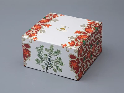 Чашка с блюдцем 250 мл в подарочной упаковке форма Соло рисунок Можжевельник ароматный, арт. 81.33953.00.1 Чашка с блюдцем 250 мл в подарочной упаковке форма Соло рисунок Можжевельник ароматный, арт. 81.33953.00.1