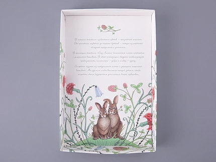 Набор салфеток 45х45 сервировочных с вышивкой Сад Алисы арт 41.00308.01