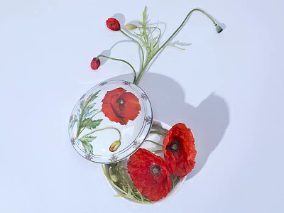 Туалетная коробочка в подарочной упаковке, форма Круглая, рисунок Мак восточный, арт 81.33191.00.1 Туалетная коробочка в подарочной упаковке, форма Круглая, рисунок Мак восточный, арт 81.33191.00.1