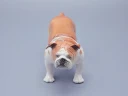 Скульптура Английский бульдог арт. 82.07579.00.1, 