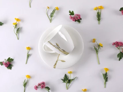 Чашка с блюдцем чайная форма Оливия рисунок Лидия арт. 81.31431.00.1, 