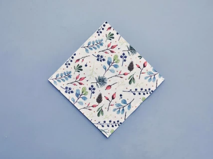 Салфетки бумажные, рисунок Календа, 33х33 см, 20 шт, арт 14.00973.05, 