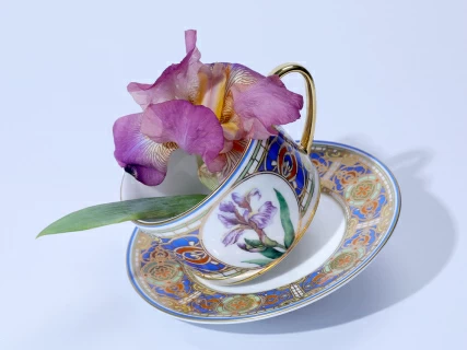 Чашка с блюдцем 250 мл в подарочной упаковке форма Соло, рисунок Нежный Ирис, арт. 81.32657.00.1,  Чашка с блюдцем 250 мл в подарочной упаковке форма Соло, рисунок Нежный Ирис, арт. 81.32657.00.1,