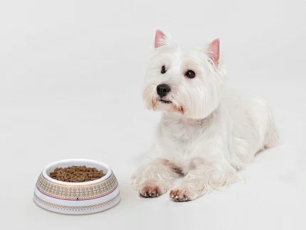 Миска для домашних животных в подарочной упаковке, рисунок Бельведер, арт 81.34253.00.1