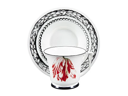 Подарочный набор чашка с блюдцем, форма Юлия рисунок Сысоев. Волшебный сад III арт. 81.30914.00.1 Подарочный набор чашка с блюдцем, форма Юлия рисунок Сысоев. Волшебный сад III арт. 81.30914.00.1