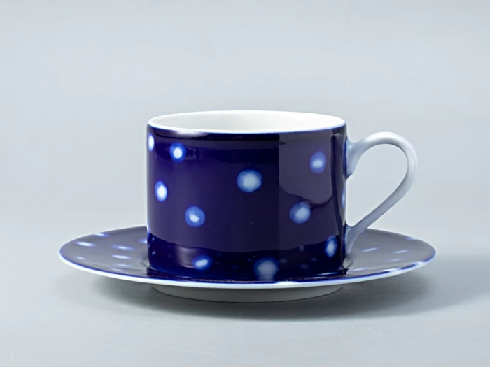 Чашка с блюдцем форма Соло рисунок Реки России. Обь арт. 81.28758.00.1, 