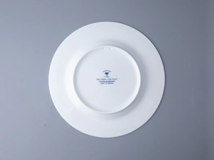 Тарелка декоративная 270 мм в подарочной упаковке форма Европейская рисунок Клюква заповедная, арт. 81.34279.00.1, 