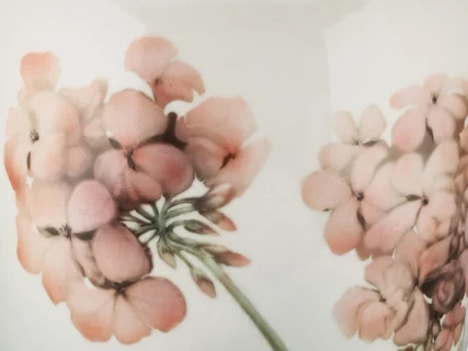 Ваза форма Ламповая рисунок Пеларгония арт. 80.88190.00.1, 