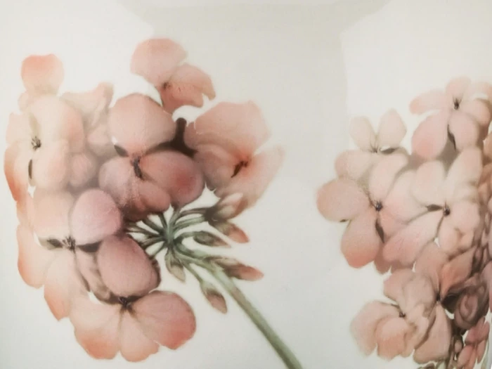 Ваза форма Ламповая рисунок Пеларгония арт. 80.88190.00.1, 