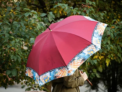 Зонт-трость рисунок Триумф и обаяние Оранжевый арт. 41.00192.02