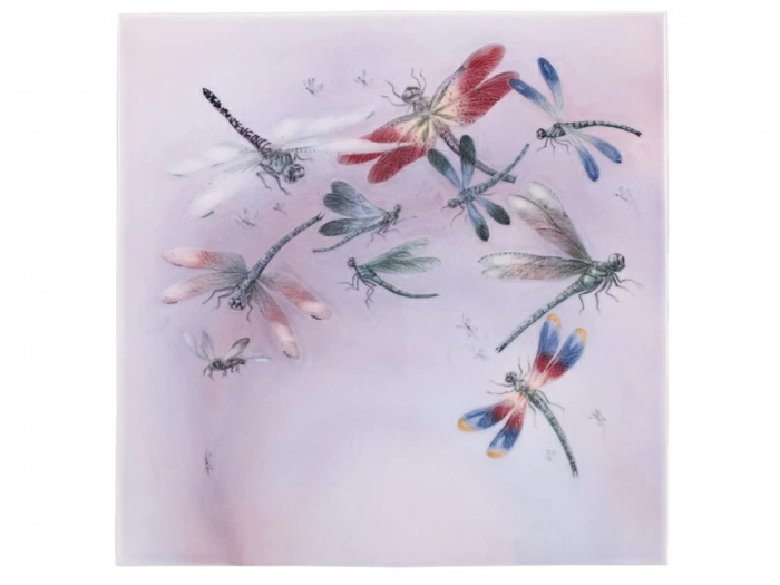 Пласт 350х350 форма Квадратный рисунок Стрекозы арт. 80.88055.00.1, 