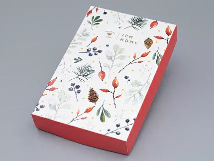 Комплект салфеток 45х45 с Вышивкой Календа (2шт) арт 14.01073.03