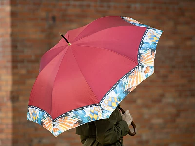 Зонт-трость рисунок Триумф и обаяние Оранжевый арт. 41.00192.02