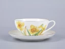 Чашка с блюдцем чайная 300 мл форма Купольная рисунок Narcissus арт. 81.29658.00.1,  Чашка с блюдцем чайная 300 мл форма Купольная рисунок Narcissus арт. 81.29658.00.1,