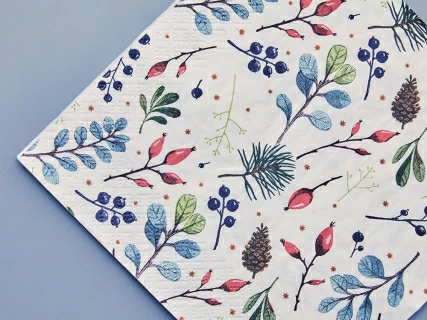 Салфетки бумажные, рисунок Календа, 33х33 см, 20 шт, арт 14.00973.05, 