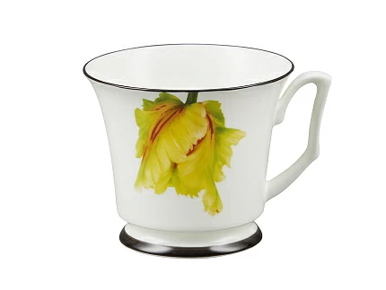 Подарочный набор чашка с блюдцем, форма Юлия рисунок Сысоев. Волшебный сад II арт. 81.30913.00.1 Подарочный набор чашка с блюдцем, форма Юлия рисунок Сысоев. Волшебный сад II арт. 81.30913.00.1