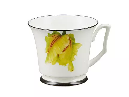 Подарочный набор чашка с блюдцем, форма Юлия рисунок Сысоев. Волшебный сад II арт. 81.30913.00.1