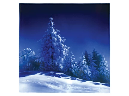 Пласт 350х350 форма Квадратный рисунок Зима арт. 80.88949.00.1