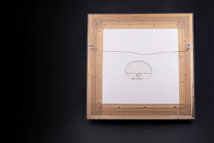 Пласт в багете 350х350 мм, рисунок Журавли арт. 80.88996.00.1