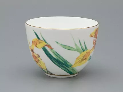 Чашка с блюдцем L’Art des Fleurs в подарочной упаковке, форма Весенняя 2, рисунок Лесной свет, арт 81.33401.00.1