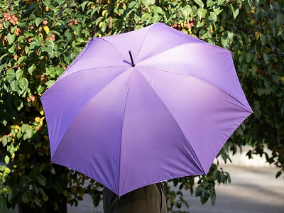 Зонт-трость рисунок Бал Пушкинских героев Сиреневый арт. 41.00188.02