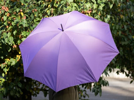 Зонт-трость рисунок Бал Пушкинских героев Сиреневый арт. 41.00188.02, 