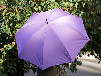 Зонт-трость рисунок Бал Пушкинских героев Сиреневый арт. 41.00188.02