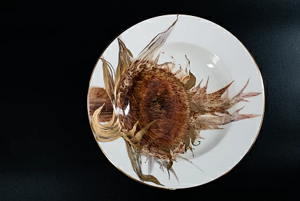 Тарелка 210 мм Позднее солнце, на форме Премиум, арт 40.03269.00.1