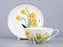 Чашка с блюдцем чайная 300 мл форма Купольная рисунок Narcissus арт. 81.29658.00.1,  Чашка с блюдцем чайная 300 мл форма Купольная рисунок Narcissus арт. 81.29658.00.1,