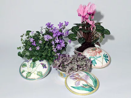 Туалетная коробочка в подарочной упаковке, форма Круглая, рисунок Фиалка надрезанная, арт 81.33190.00.1