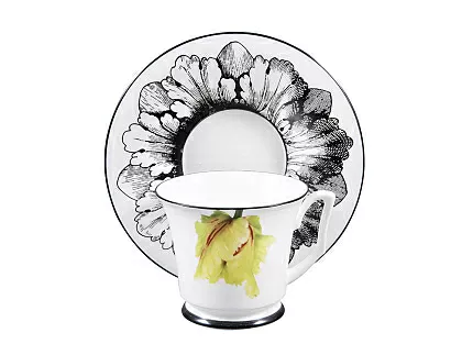 Подарочный набор чашка с блюдцем, форма Юлия рисунок Сысоев. Волшебный сад II арт. 81.30913.00.1