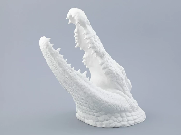 Подарочный набор Крокодил голова и хвост, рисунок Белый, арт. 81.32755.00.1, 