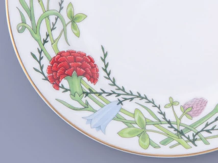 Тарелка плоская 200 мм форма Стандартная-2 рисунок Сад Алисы, арт. 80.47612.00.1, 