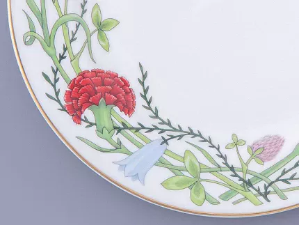 Тарелка плоская 200 мм форма Стандартная-2 рисунок Сад Алисы, арт. 80.47612.00.1