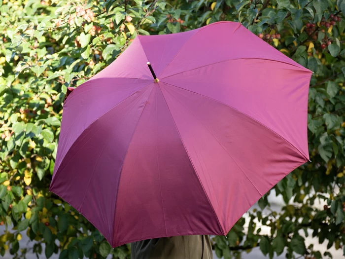 Зонт-трость рисунок Знойный разговор Бордовый арт. 41.00190.02, 