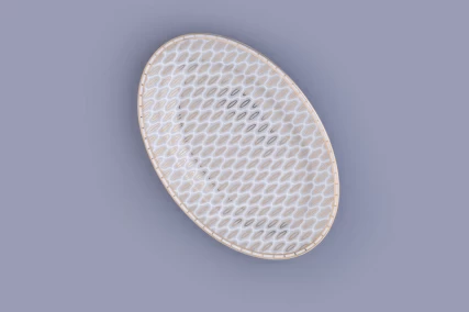 Блюдо овальное 230 мм форма Премиум рисунок Саламандра Грей арт. 80.44703.00.1, 