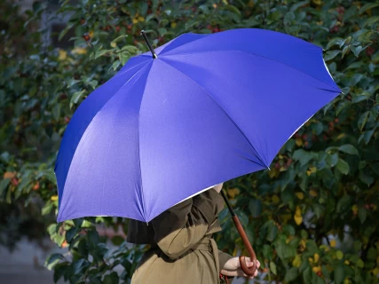 Зонт-трость рисунок Бал Пушкинских героев Фиолетовый арт. 41.00189.02, 