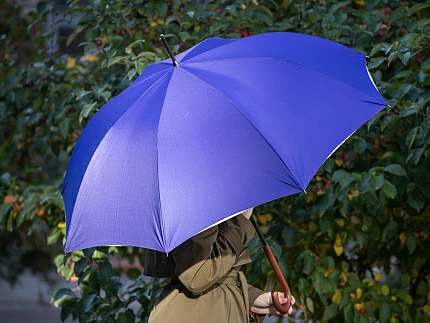 Зонт-трость рисунок Бал Пушкинских героев Фиолетовый арт. 41.00189.02